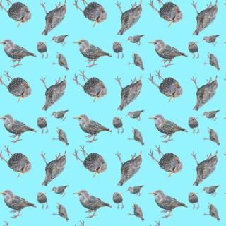 Wallpaper