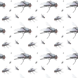 Wallpaper