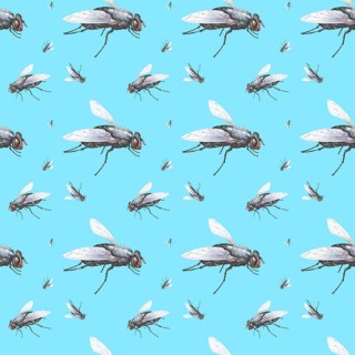 Wallpaper