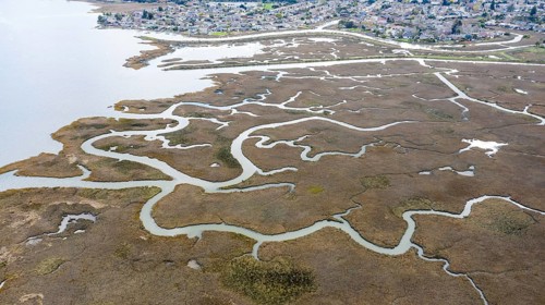 River landscape