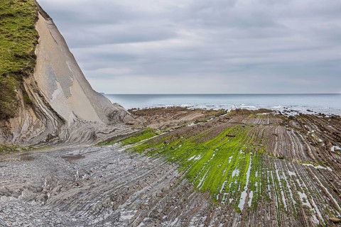 Flysch