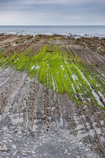 Flysch