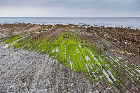 Flysch
