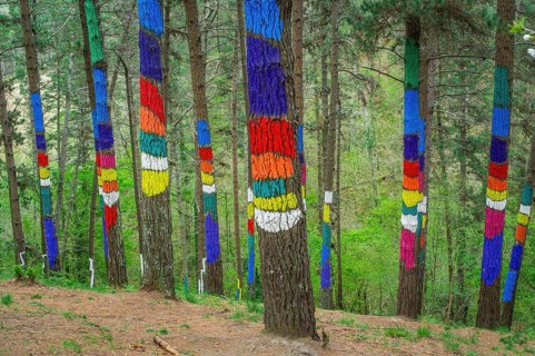 Painted tree trunks