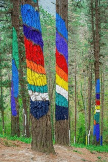 Painted tree trunks