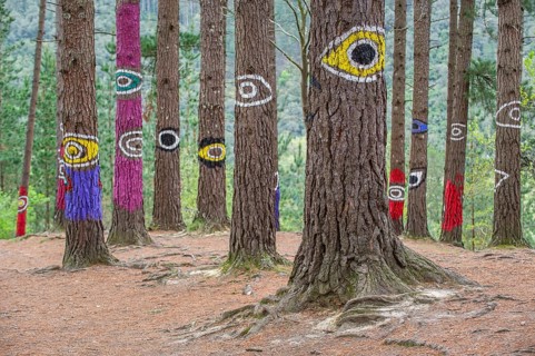 Painted tree trunks