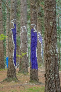 Painted tree trunks