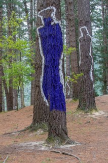 Painted tree trunks