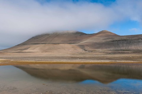 Diskobukta