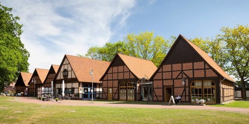 Half-timbered houses