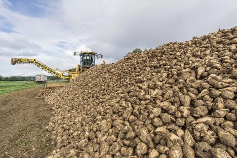 Agriculture