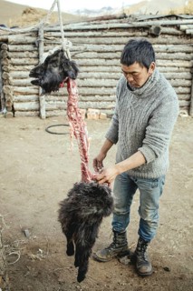 Traditional cooking of a goat with hot stones in its belly