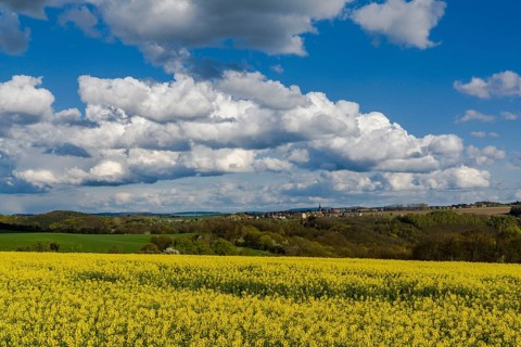 Agricultural landscape with village