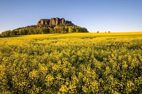 Agricultural landscape
