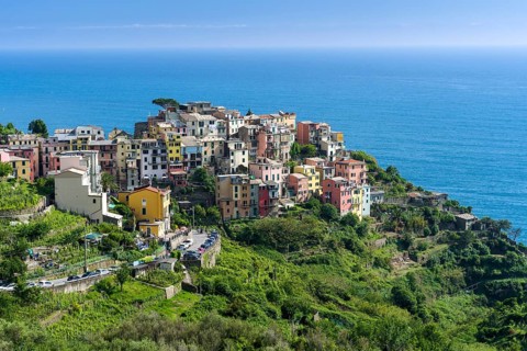 Colorful houses of Manarola town crammed on a hill on the coast of the Mediterranean Sea