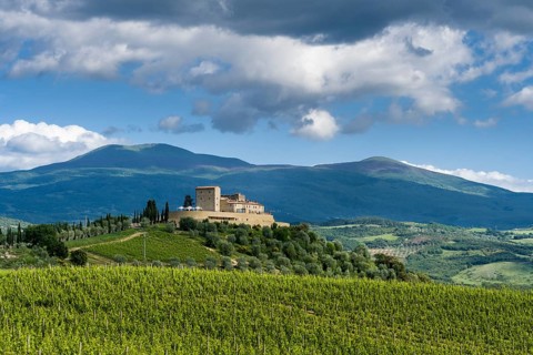 Typical Tuscany landscape in Val d'Orcia with wineyards