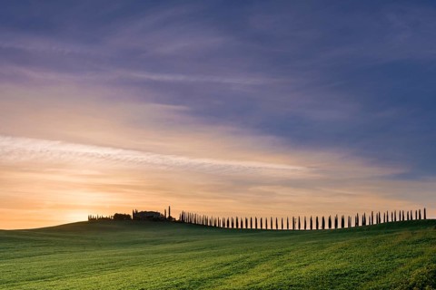 Typical green Tuscan landscape in Bagno Vignoni