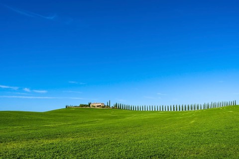 Typical green Tuscan landscape in Bagno Vignoni