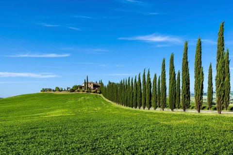 Typical green Tuscan landscape in Bagno Vignoni