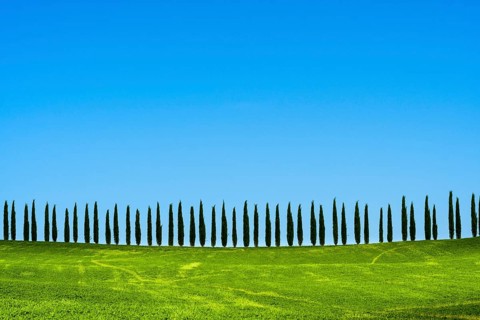 Typical green Tuscan landscape in Bagno Vignoni