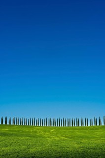 Typical green Tuscan landscape in Bagno Vignoni