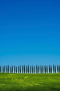 Typical green Tuscan landscape in Bagno Vignoni