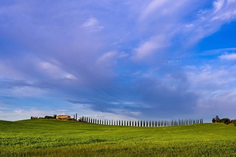 Typical green Tuscan landscape in Bagno Vignoni