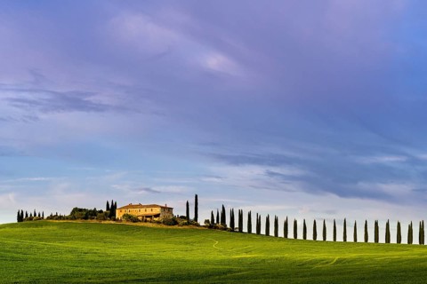 Typical green Tuscan landscape in Bagno Vignoni