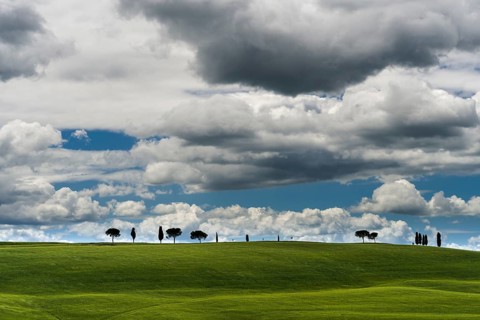 Typical green Tuscan landscape in Val d'Orcia with fields