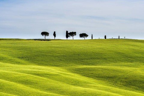 Typical green Tuscan landscape in Val d'Orcia with fields
