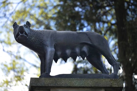Capitoline Wolf