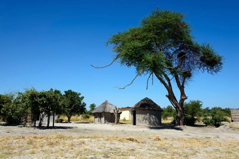 Simple thatched huts