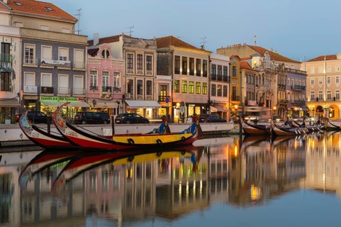 Moliceiros moored along the main canal