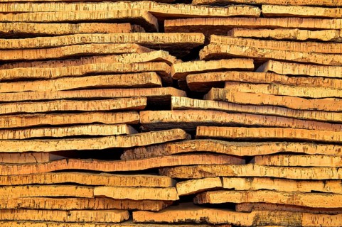 Cut bark of the cork oak (Quercus suber)