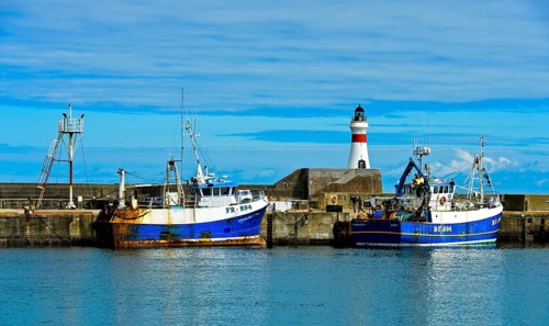 Trawler in the harbor