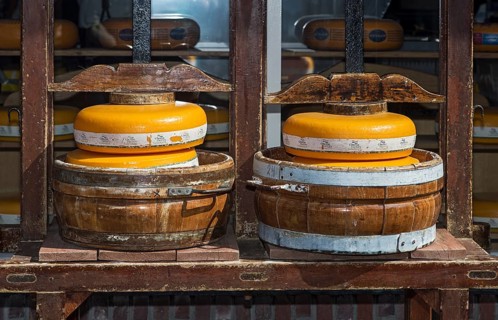 Traditional cheese press for Gouda cheese