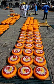 Rounds of Dutch Beemster Cheese