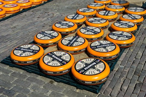 Rounds of Dutch Beemster Cheese