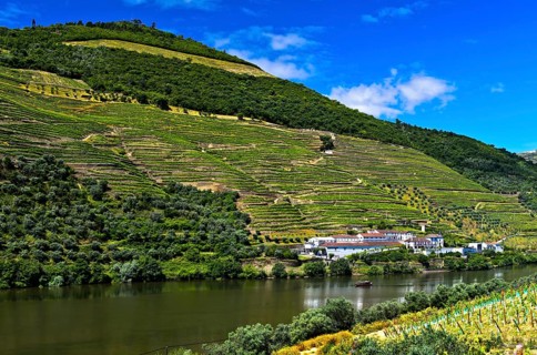 Winery Quinta das Carvalhas on the Douro River