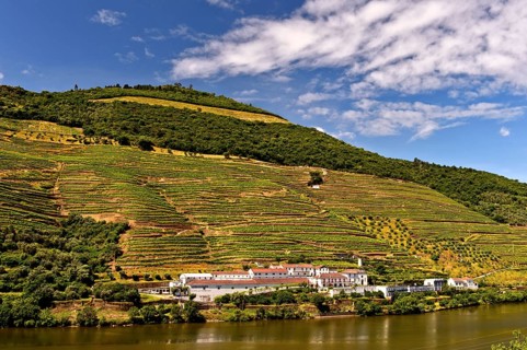 Winery Quinta das Carvalhas on the Douro River