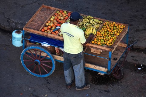 Mobile fruit stall