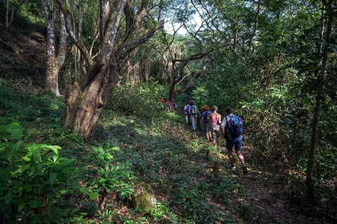 Tourist group hiking in tropical rainforest