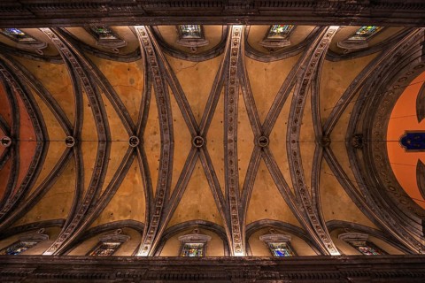 Vaulted ceiling
