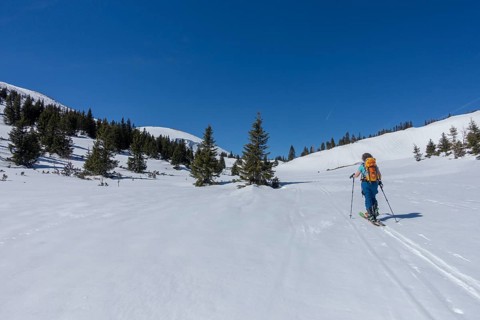 Woman with touring skis in Bergland