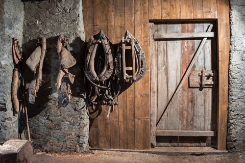 Horse bridle on the wall in the stable