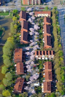 Green settlement Neu-Allermohe East