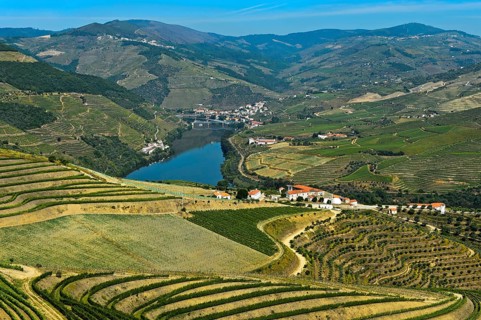 Wine-growing region Alto Douro near Pinhao on the Douro River