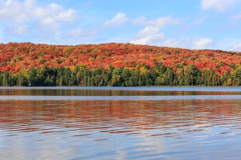Canisbay Lake in Autumn
