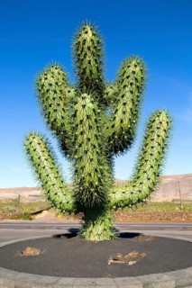 Giant green cactus sculpture