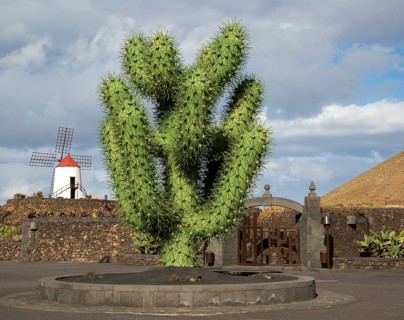 Giant green cactus sculpture